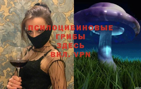 дживик Алексин
