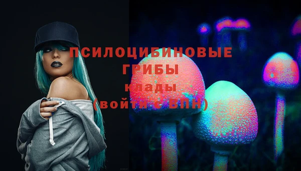 дживик Алексин