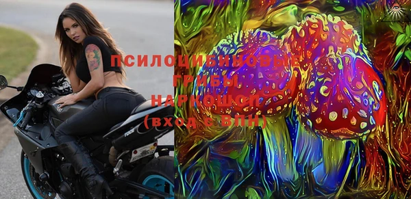 дживик Алексин