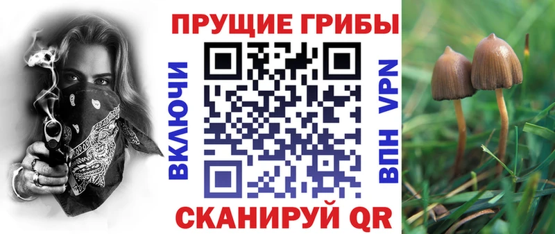 Галлюциногенные грибы мицелий  Михайловск 