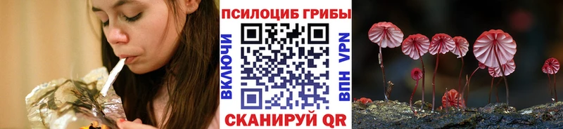 Галлюциногенные грибы Cubensis Михайловск