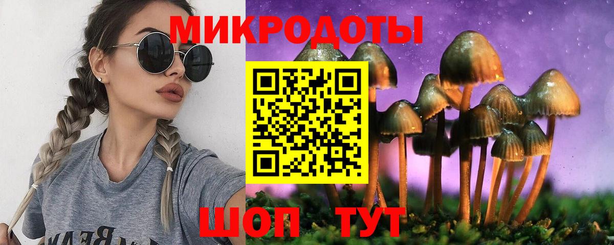 Михайловск  Псилоцибиновые грибы мицелий  Вход с VPN 